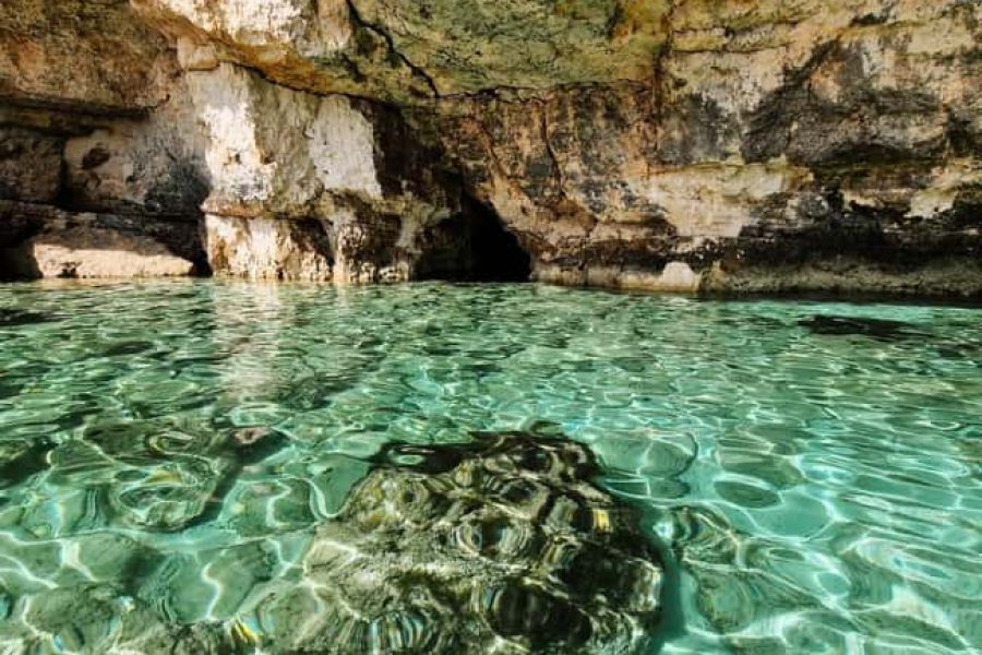 Mellieha: Comino Blue Lagoon 3 hours Private Boat trips