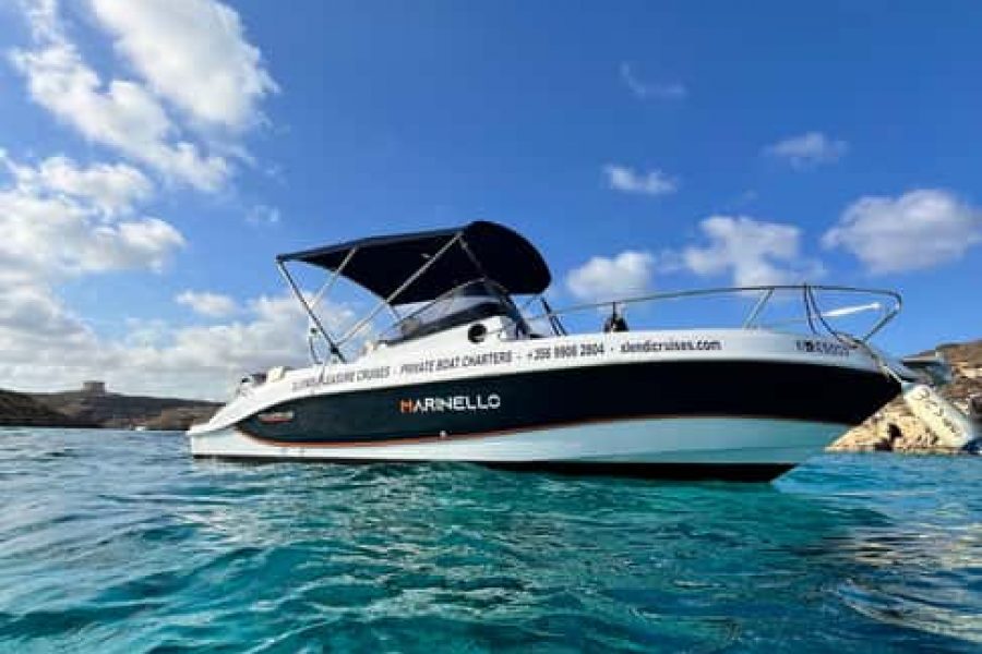 Mellieha: Comino, Blue lagoon Private Speed Boat Tour